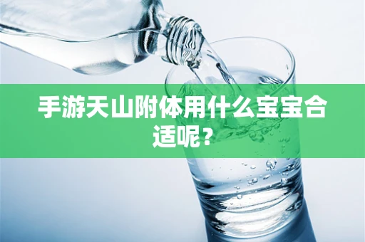 手游天山附体用什么宝宝合适呢？