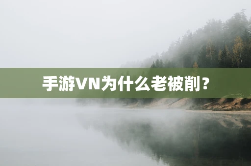 手游VN为什么老被削？