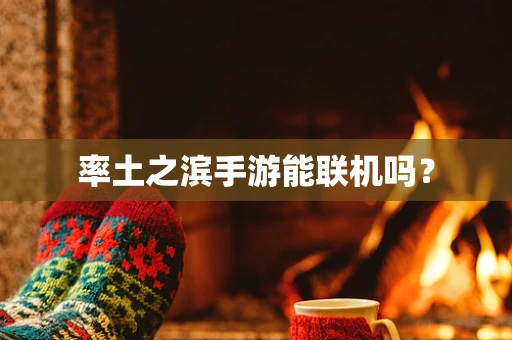 率土之滨手游能联机吗？