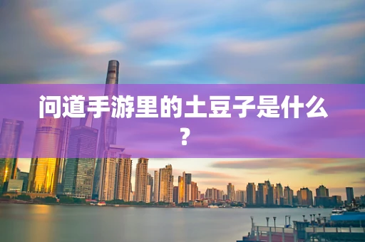 问道手游里的土豆子是什么？