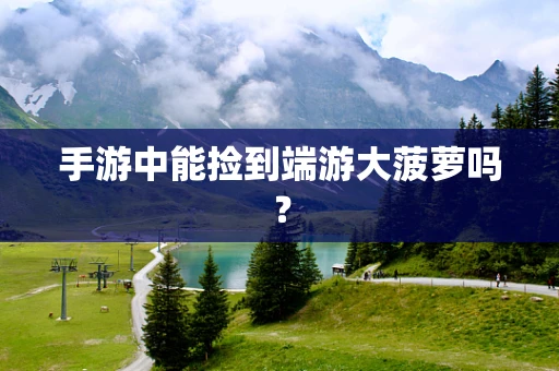 手游中能捡到端游大菠萝吗？