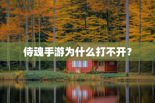 侍魂手游为什么打不开？