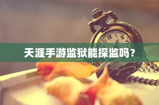 天涯手游监狱能探监吗？