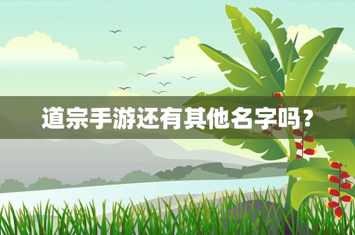 道宗手游还有其他名字吗？