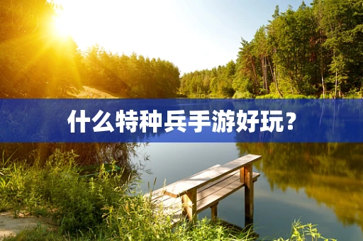 什么特种兵手游好玩？