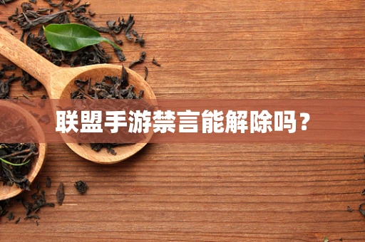 联盟手游禁言能解除吗？