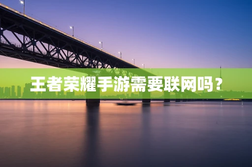 王者荣耀手游需要联网吗？