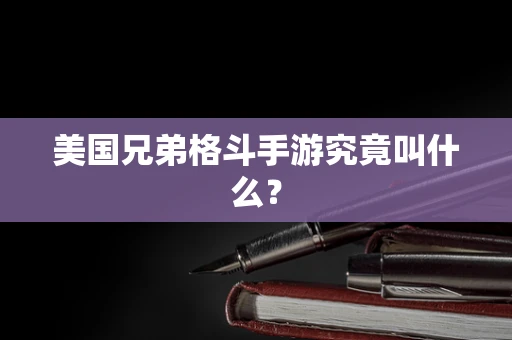 美国兄弟格斗手游究竟叫什么？