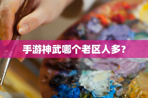 手游神武哪个老区人多？