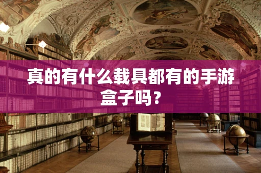真的有什么载具都有的手游盒子吗？