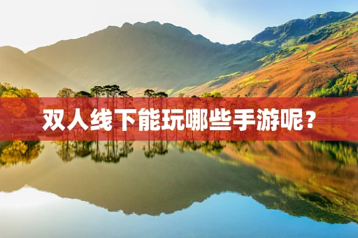 双人线下能玩哪些手游呢？
