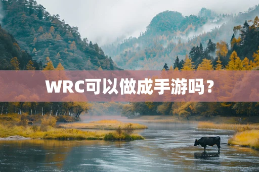 WRC可以做成手游吗？