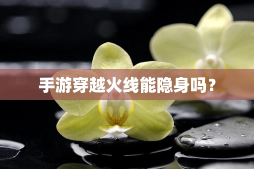 手游穿越火线能隐身吗？