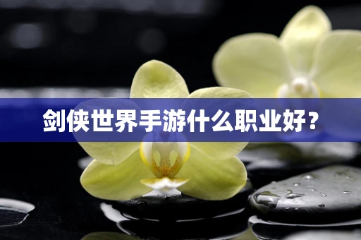 剑侠世界手游什么职业好？