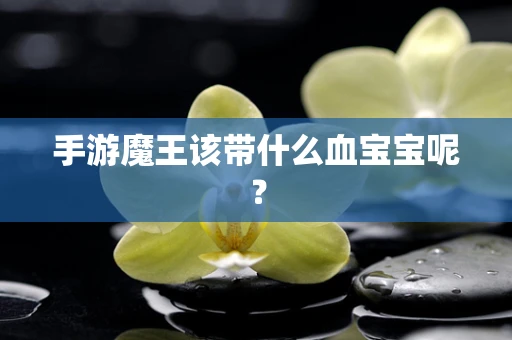 手游魔王该带什么血宝宝呢？