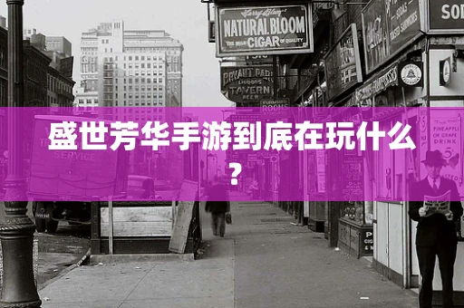盛世芳华手游到底在玩什么？