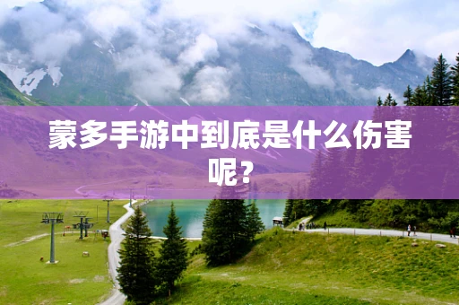 蒙多手游中到底是什么伤害呢？