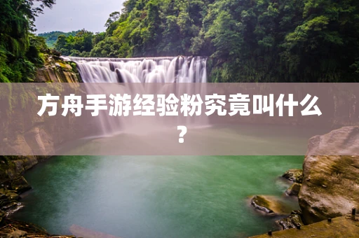 方舟手游经验粉究竟叫什么？