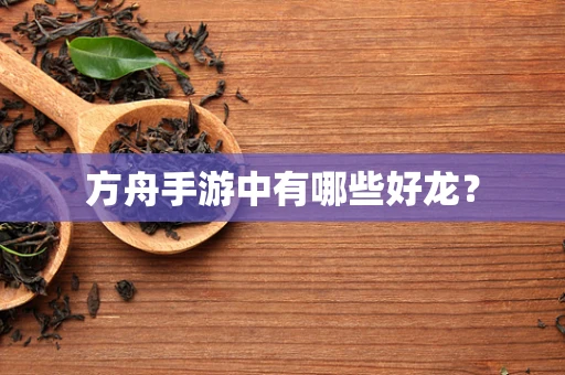 方舟手游中有哪些好龙？