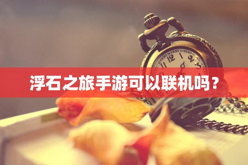 浮石之旅手游可以联机吗？
