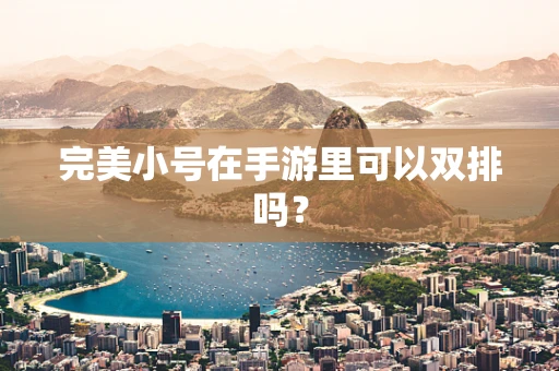 完美小号在手游里可以双排吗？