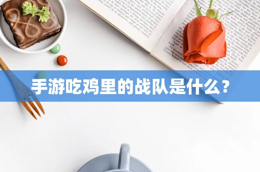 手游吃鸡里的战队是什么？