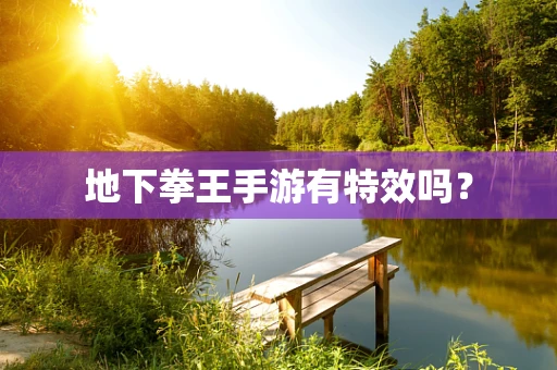 地下拳王手游有特效吗？