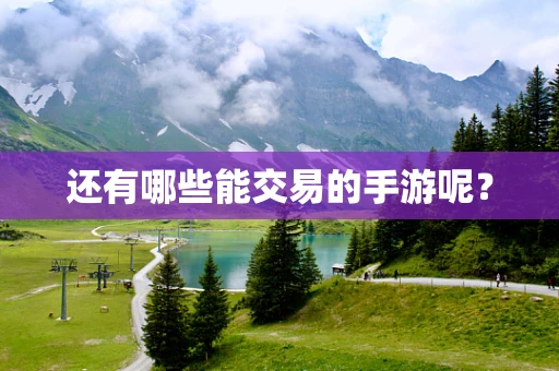 还有哪些能交易的手游呢？