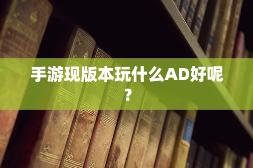 手游现版本玩什么AD好呢？