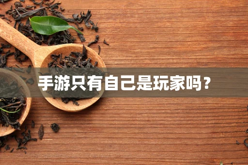 手游只有自己是玩家吗？