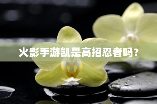 火影手游凯是高招忍者吗？