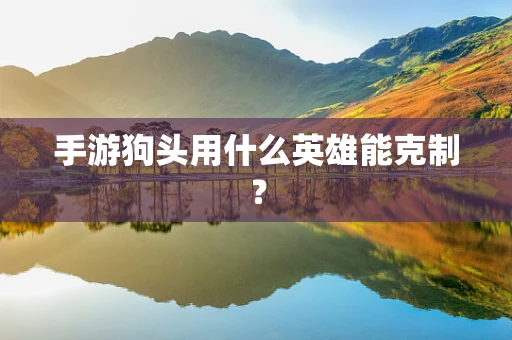 手游狗头用什么英雄能克制？