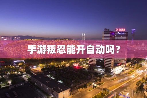 手游叛忍能开自动吗？