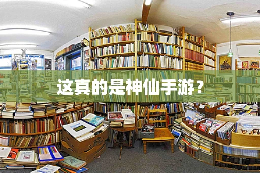 这真的是神仙手游？