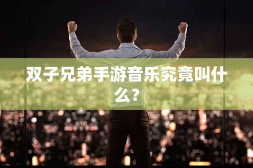 双子兄弟手游音乐究竟叫什么？