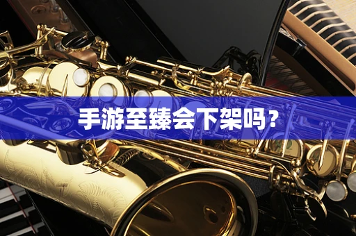手游至臻会下架吗？