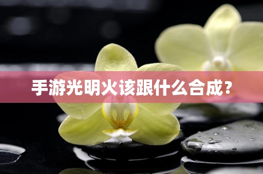 手游光明火该跟什么合成？