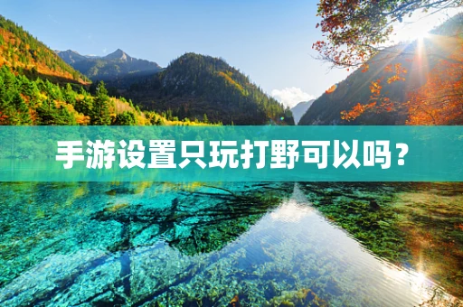 手游设置只玩打野可以吗？