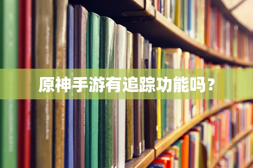 原神手游有追踪功能吗？
