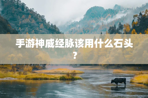 手游神威经脉该用什么石头？