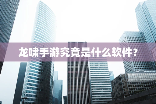 龙啸手游究竟是什么软件？