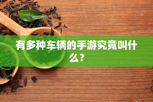 有多种车辆的手游究竟叫什么？