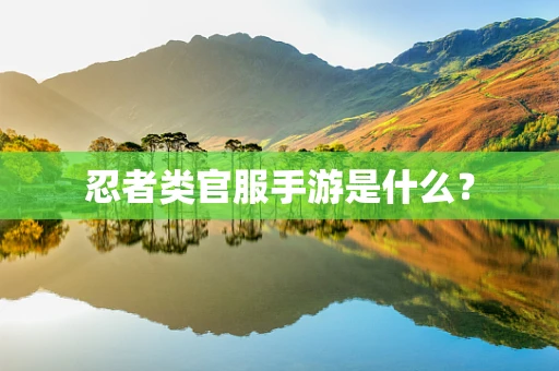 忍者类官服手游是什么？