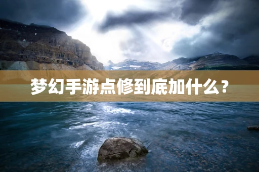 梦幻手游点修到底加什么？