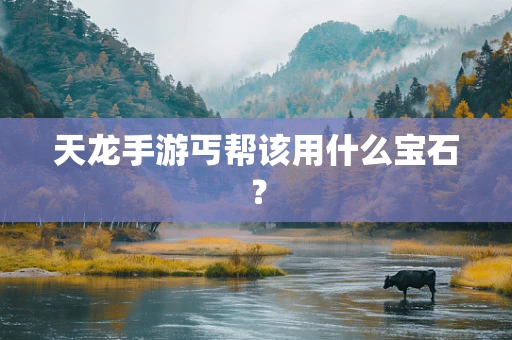 天龙手游丐帮该用什么宝石？
