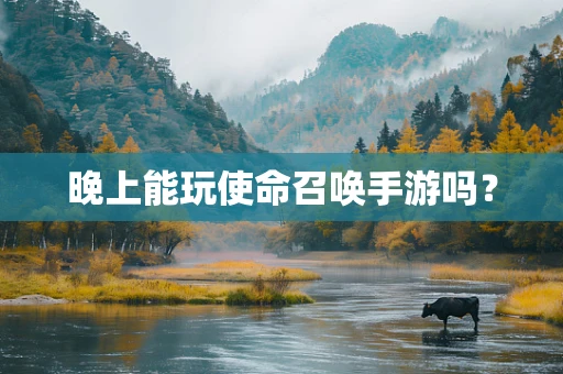 晚上能玩使命召唤手游吗？