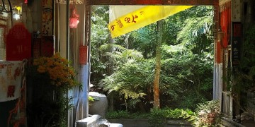 方舟手游中哪种翼龙最厉害？