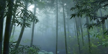 指尖江湖手游收费吗？