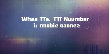 什么是手游TT号？