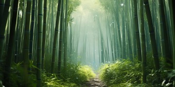 手游逆水寒真的能隐身吗？